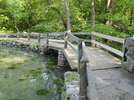 Enlarge photo 19