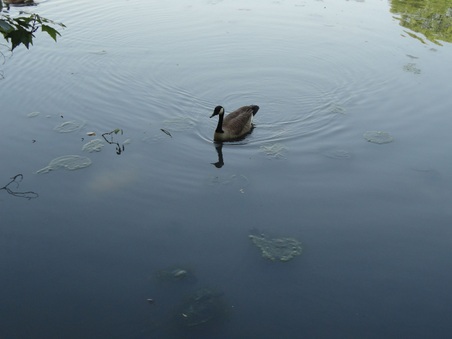 Enlarge photo 20