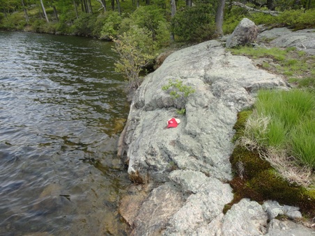 Enlarge photo 10