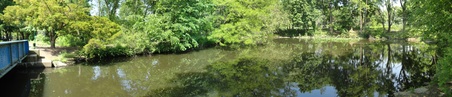 Enlarge photo 37