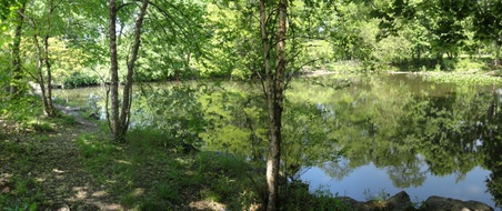 Enlarge photo 15