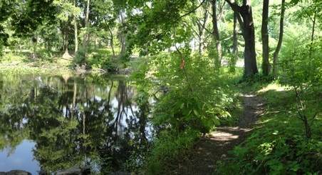 Enlarge photo 16