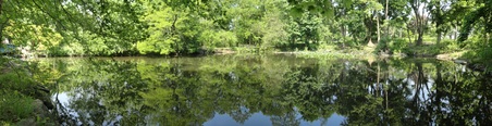 Enlarge photo 17