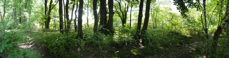 Enlarge photo 18