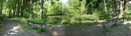 Enlarge photo 19