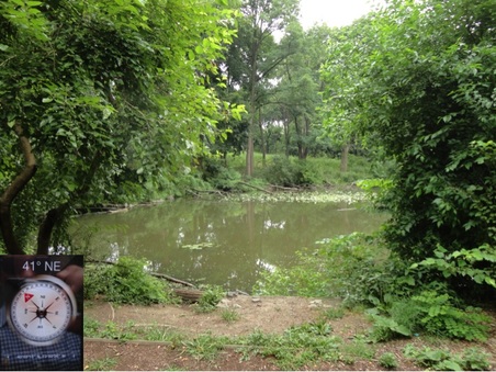 Enlarge photo 8