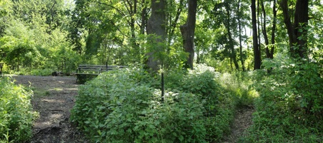 Enlarge photo 21