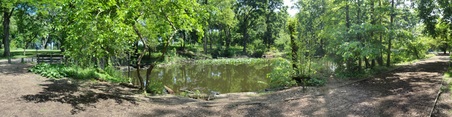 Enlarge photo 24