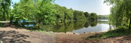 Enlarge photo 27