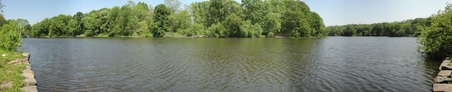Enlarge photo 29