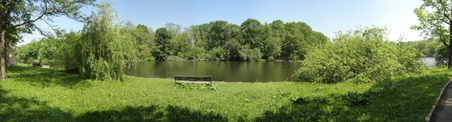 Enlarge photo 31