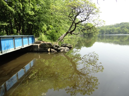 Enlarge photo 33