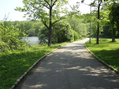 Enlarge photo 36