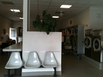 Enlarge photo 11