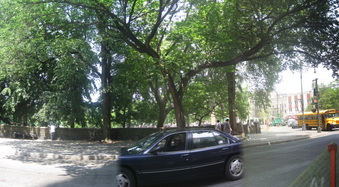Enlarge photo 2
