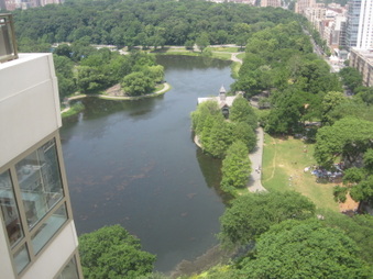 Enlarge photo 25