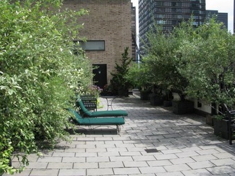 Enlarge photo 31