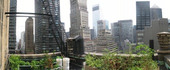 Enlarge photo 45