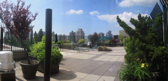 Enlarge photo 16