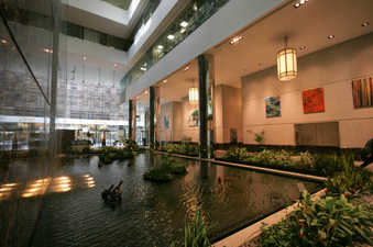 Enlarge photo 41