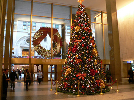 Enlarge photo 23