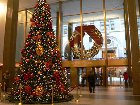 Enlarge photo 24