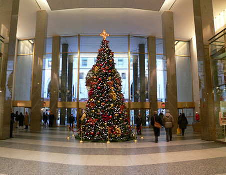 Enlarge photo 26