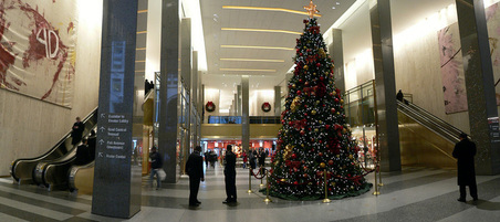 Enlarge photo 35