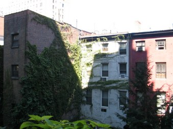 Enlarge photo 20