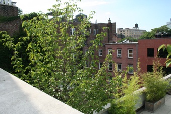 Enlarge photo 7