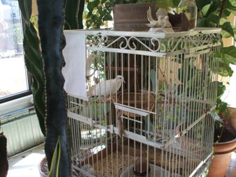 Enlarge photo 7