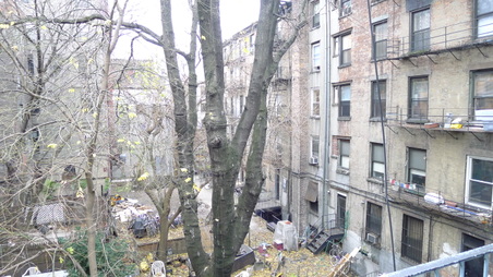 Enlarge photo 19