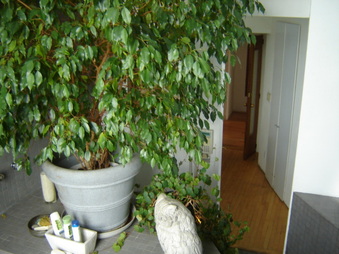 Enlarge photo 29