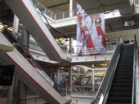 Enlarge photo 135