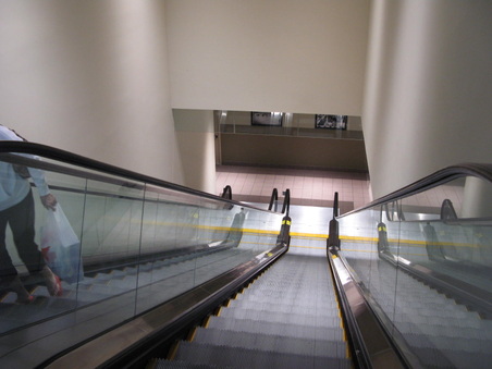 Enlarge photo 51