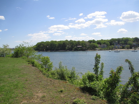 Enlarge photo 53
