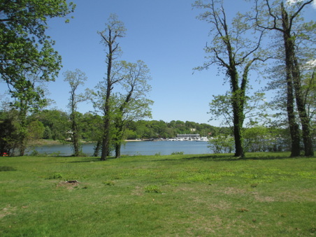 Enlarge photo 59
