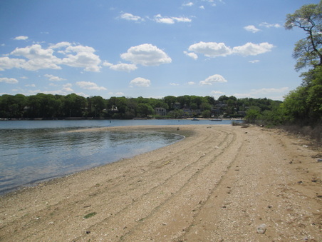 Enlarge photo 61