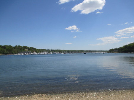 Enlarge photo 62