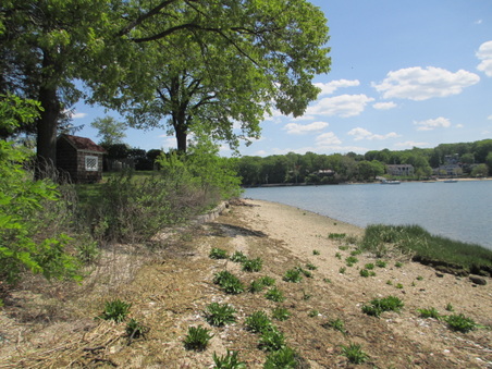 Enlarge photo 82
