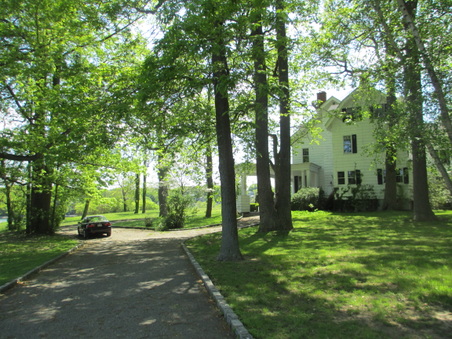 Enlarge photo 84