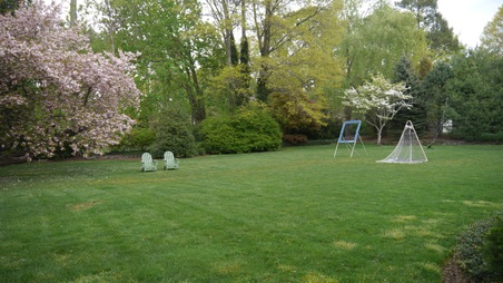 Enlarge photo 11