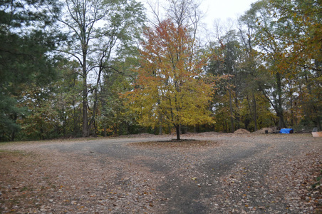 Enlarge photo 63