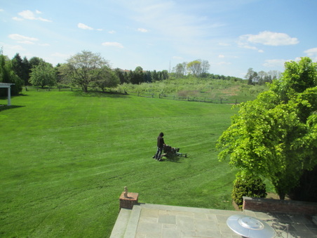 Enlarge photo 30