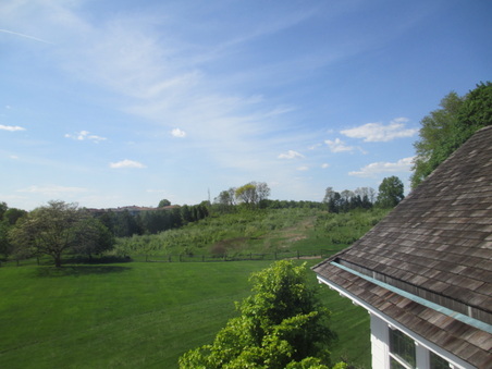Enlarge photo 29