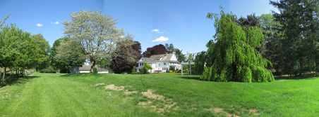 Enlarge photo 23