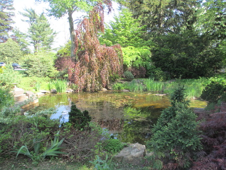 Enlarge photo 19