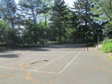 Enlarge photo 16