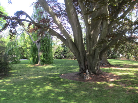 Enlarge photo 14