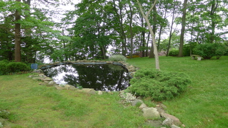 Enlarge photo 39